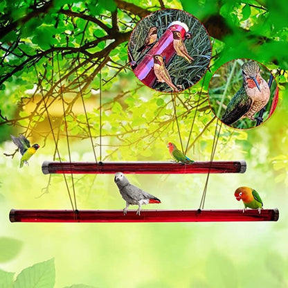 Hanging Long Tube Red Bird Feeder Hanging Hummingbird