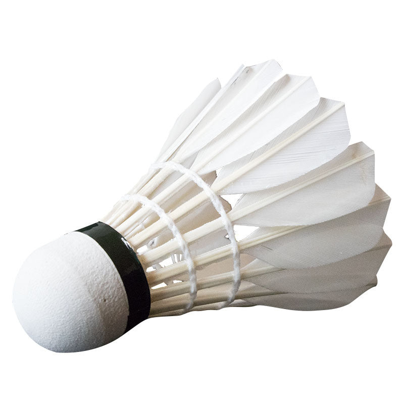 Student Sports Training Can Not Beat The Wind Training Badminton