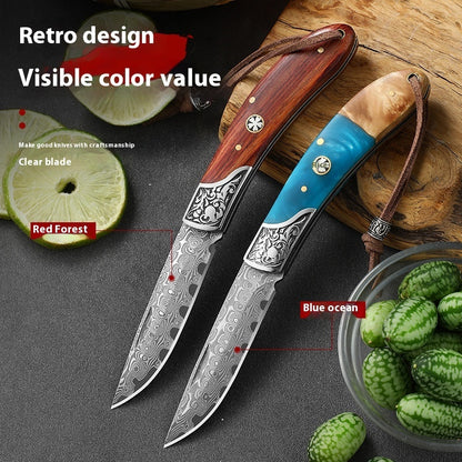 VG10 Folding Portable Mini Outdoor Knife